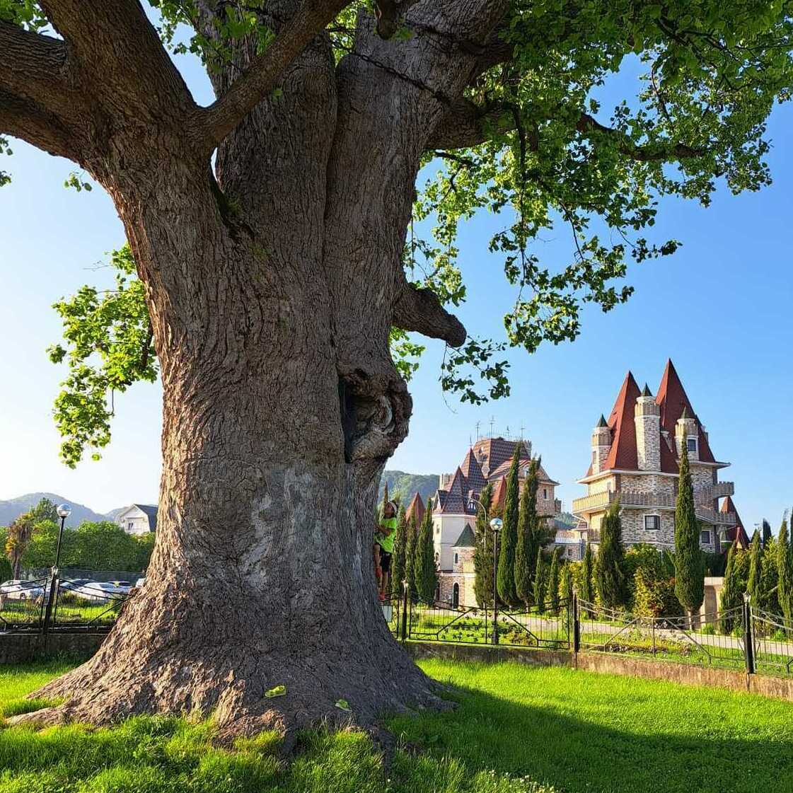 Экскурсии по достопримечательностям района Экскурсии по достопримечательностям района